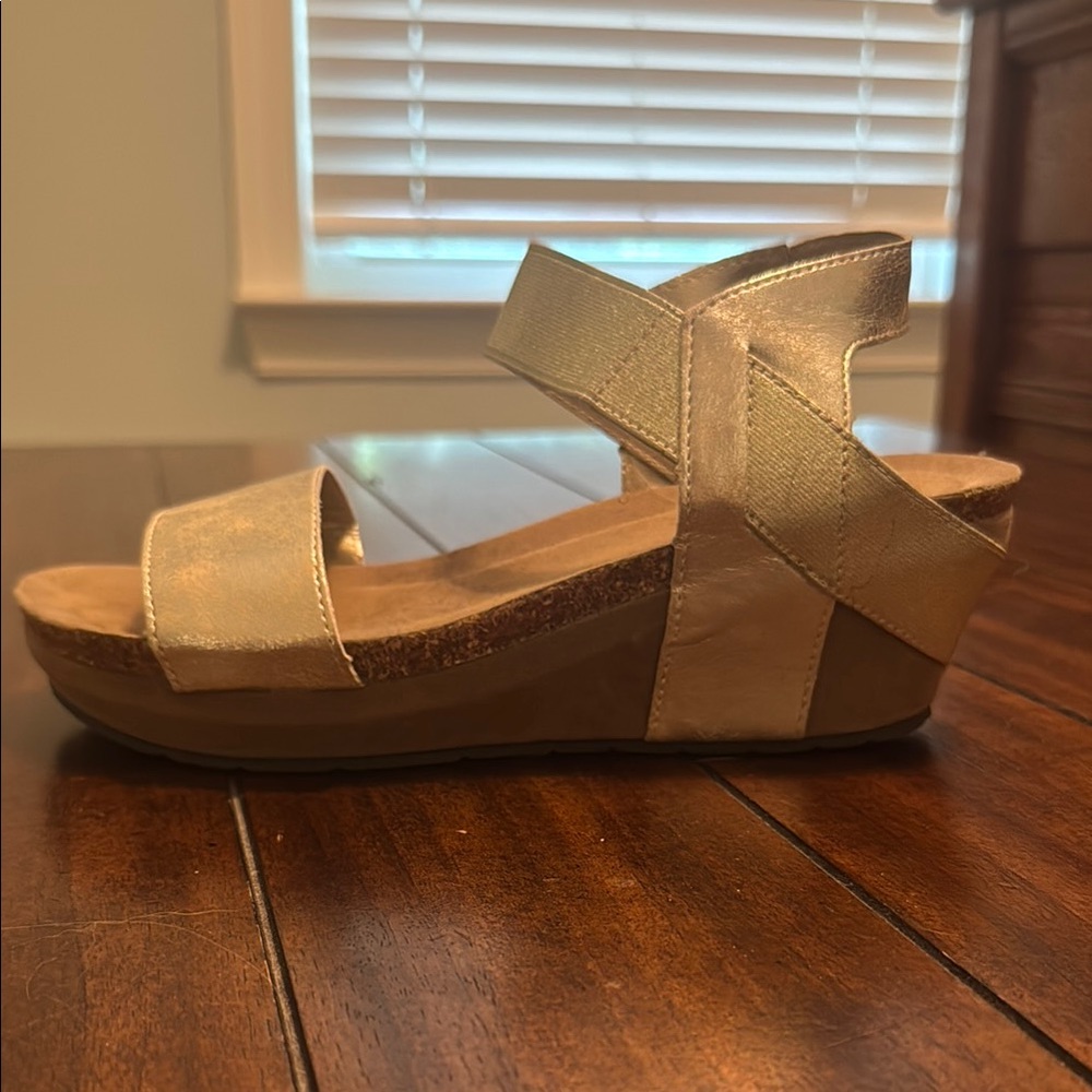 Pierre Dumas Hester Wedge